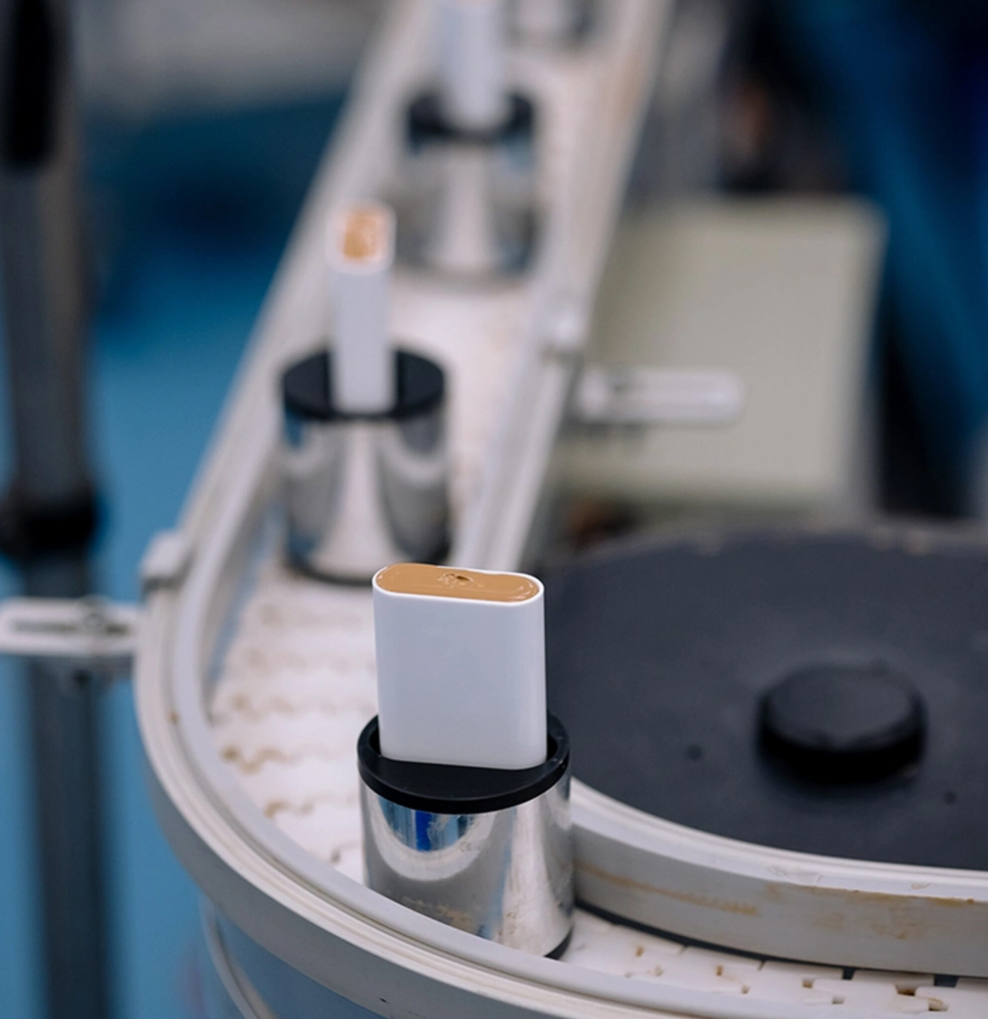 What we do - Wild Child